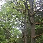 Osada Boczki 招待所 Dubeninki