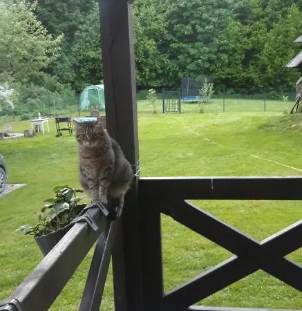 Osada Boczki Penzion 3*