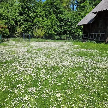 Osada Boczki Guest house