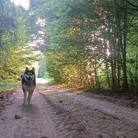 Penzion Osada Boczki