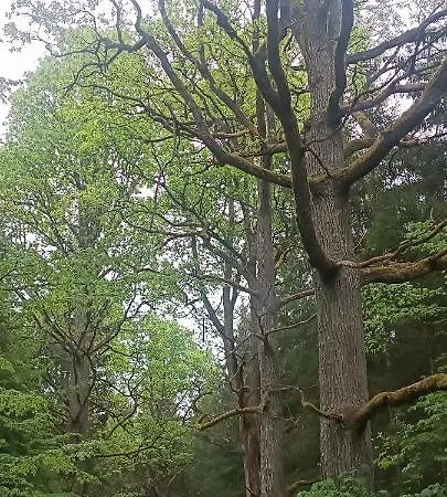 Osada Boczki Penzion Dubeninki